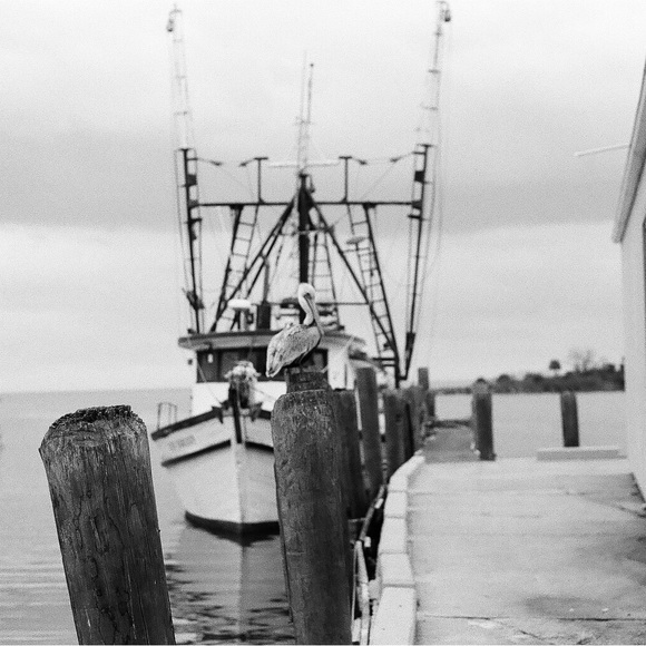 Cannon 35 mm - Picture 4 of 5